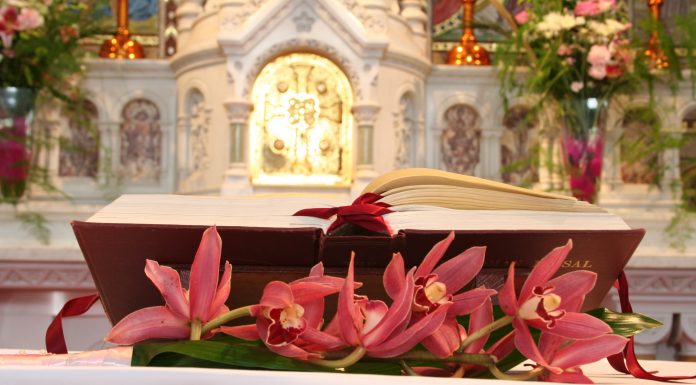 Feeding My Soul with Agape, Counsel, and Mystery