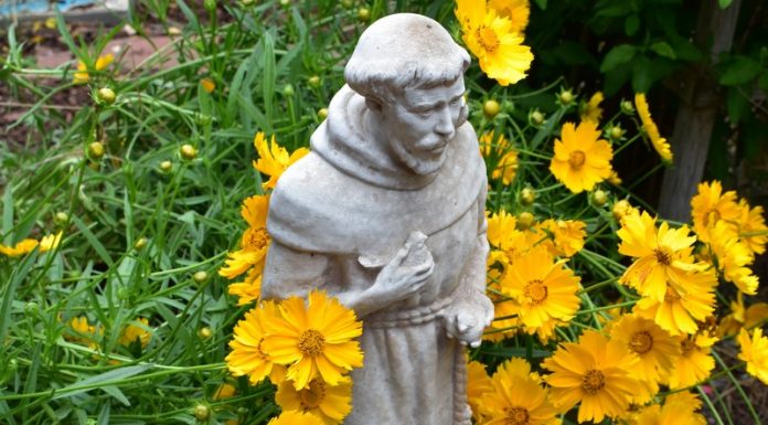 Celebrating Saints: Francis of Assisi—October 4