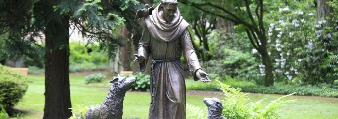 Respect Life Like Saint Francis
