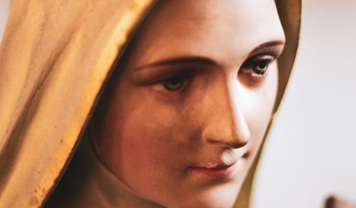 What the Church Teaches Us About Mary