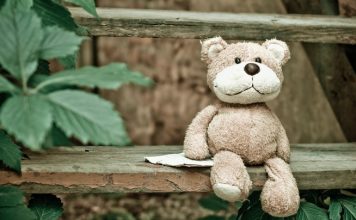 Bears Can Eat Red Apples or Marshmallows