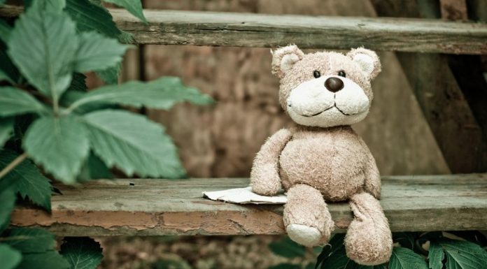 Bears Can Eat Red Apples or Marshmallows